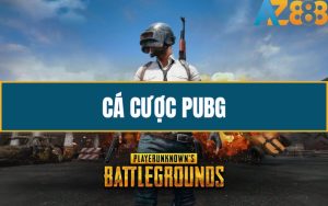 Ca Cuoc PUBG La Gi Huong Dan Cach Choi Chi Tiet Tai Nha Cai AZ888 1 1 1 2 2